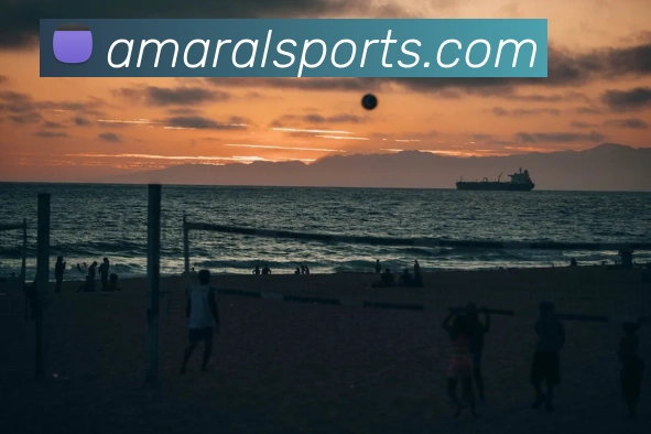 体育下注服务体系